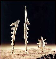 Figuren_Schuetz_GP_4_1Preis